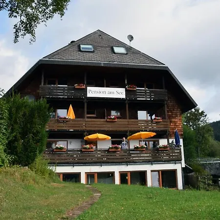 Apartment Am *